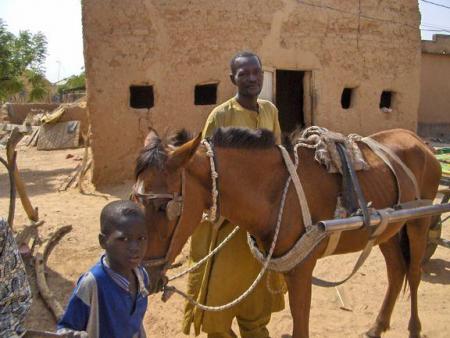 samba boubou guaye