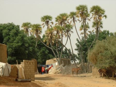 soubalo madina