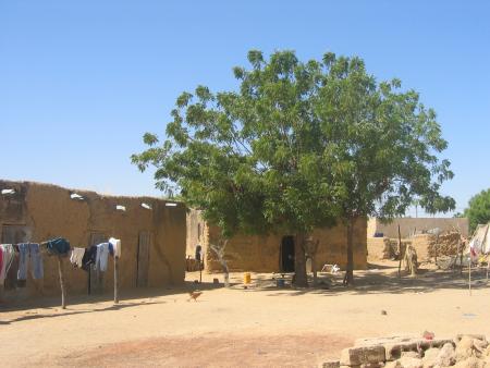Les maisons en banco du centre de Madina Ndiathbe